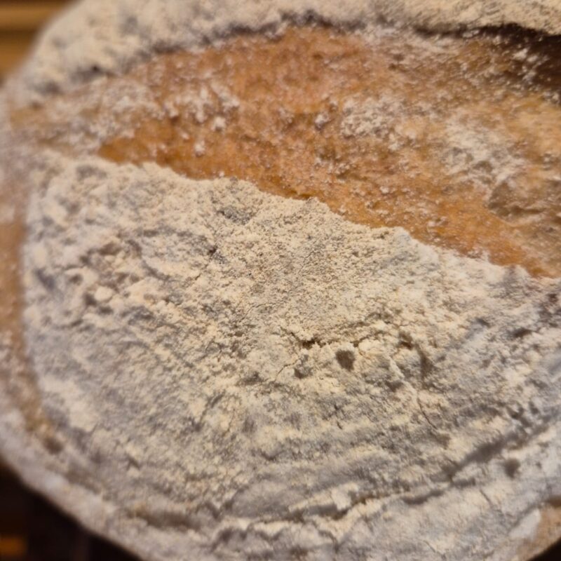 Country bread (sourdough rye)